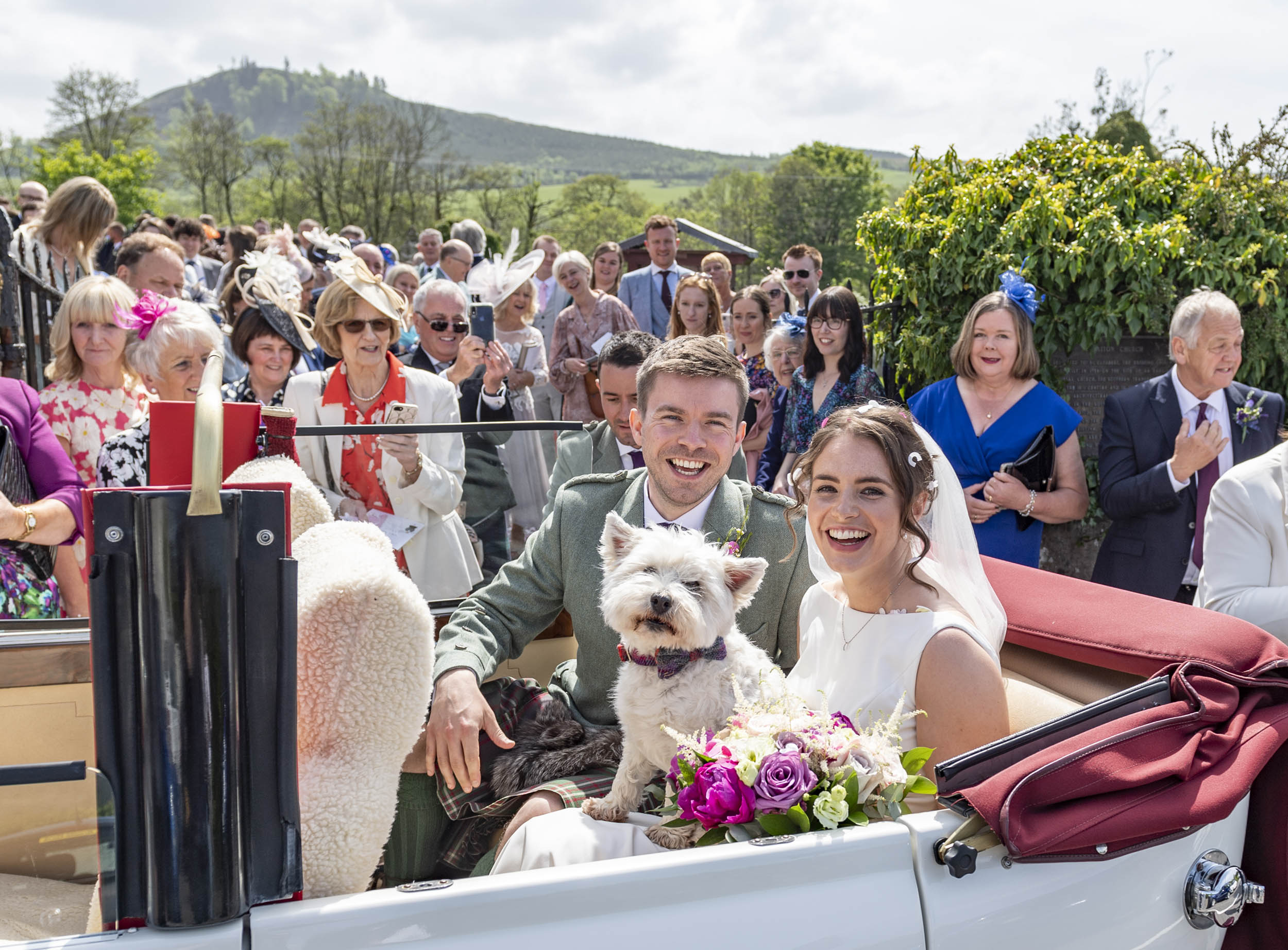 dog in wedding car Dog in wedding car