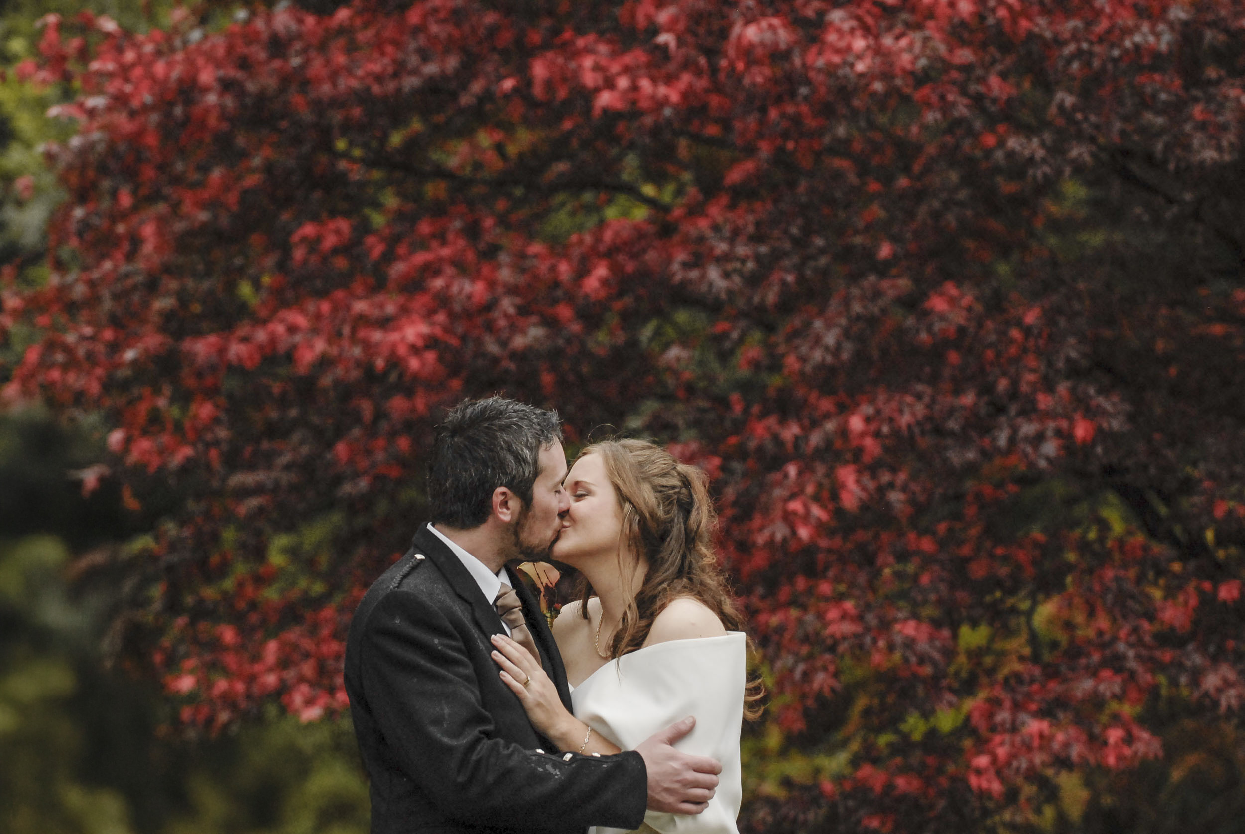 Macdonald Forrest Hills Wedding Photography